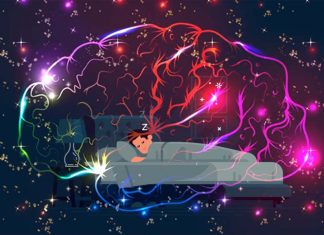 Uncovered brain patterns and networks in the brain which control sleep
