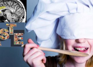 Where the gustatory cortex is and how it works ?