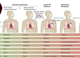 Why are our bodies unable to generate permanent immunity to TB ?