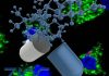 Zinc : new non-antibiotic treatment strategies for bacterial diseases