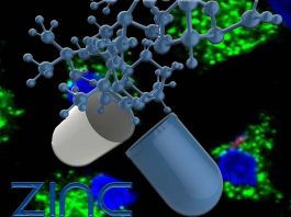 Zinc : new non-antibiotic treatment strategies for bacterial diseases