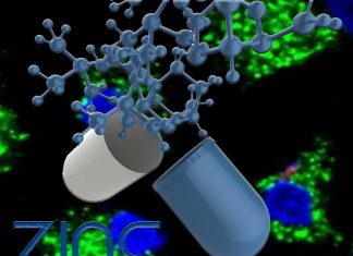 Zinc : new non-antibiotic treatment strategies for bacterial diseases