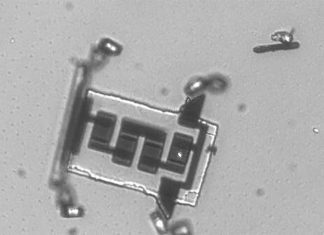 Created cell sized micro robots harnessing the latest nanofabrication techniques