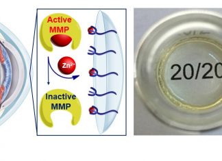 Researchers have created a hydrogel contact lens to treat corneal melting