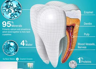 A mutation in the ORAI1 gene leads to a loss of calcium in enamel cells