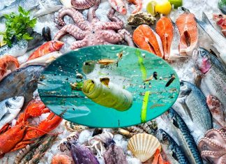 Antidepressants, antibiotics and sun cream components are contaminating fish