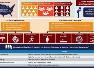 Asthma: first large investigation to examine the differences in genetic risk factors for childhood-onset and adult-onset asthma