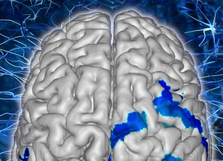 Brains may solidify the memories of new skills we just practiced a few seconds earlier by taking a short rest