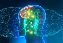The Role of Dopamine in Pursuing Uncertain Rewards: Coping with Lack of Expected Reward