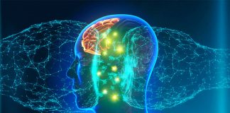 The Role of Dopamine in Pursuing Uncertain Rewards: Coping with Lack of Expected Reward