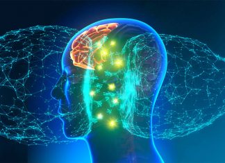 The Role of Dopamine in Pursuing Uncertain Rewards: Coping with Lack of Expected Reward