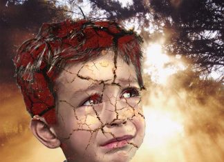 Early childhood stress impact on hormones and health