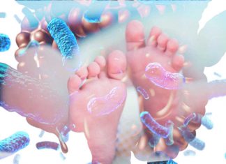 Early microbiome in newborn babies is able to predict the risk of the child subsequently becoming overweight