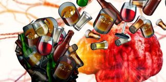 Heavy use of alcohol slow the rate of growth in developing brains