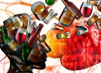 Heavy use of alcohol slow the rate of growth in developing brains