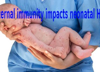 Maternal immunity impacts neonatal HSV