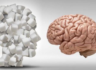 Memory loss after septic shock linked to sugar