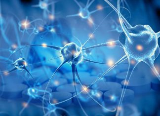 Naproxen increases the frequency of adverse health effects and does not reduce the risk of developing Alzheimer’s disease