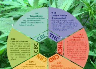 New guidance to use the different cannabis-based products and cannabinoids
