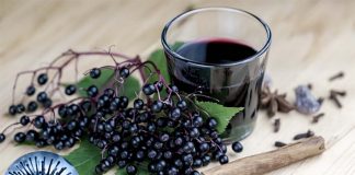 Popular ancient remedy, the elderberry fruit, can help the fight against influenza