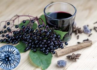 Popular ancient remedy, the elderberry fruit, can help the fight against influenza