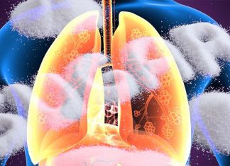 Restriction or inhalation of common sugar could one day treat a range of respiratory diseases