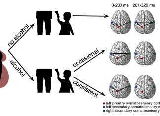 Researchers found that teenagers who were exposed to alcohol while in the womb showed altered brain connections