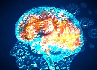 Scientists describe the newly-named pathway to dementia