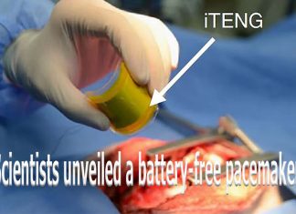 Scientists unveiled a battery-free pacemaker