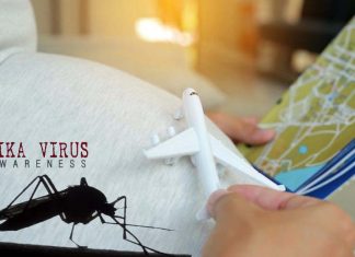 Zika virus will remain a threat to pregnant women for the foreseeable future