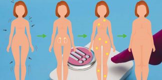 Researchers revealed a brain pathway which drives the additional weight gain