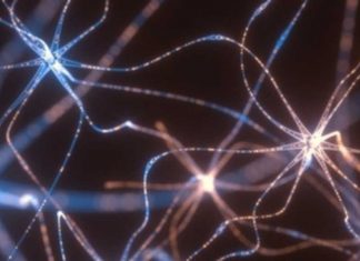 The research on neural signals could help lead to new treatments for movement disorders such as Parkinson’s and Huntington’s disease