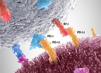 Researchers have resensitized breast cancer cells to treatment