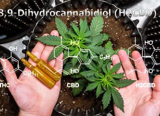 A synthetic non-intoxicating analogue of cannabidiol (CBD) is effective in treating seizures