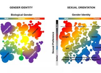 A new study has shown that traditional sexuality labels do not capture the full range of human sexuality