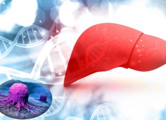A new targeted therapy using non-thermal radio waves block the growth of liver cancer cells anywhere in the body without damaging healthy cells