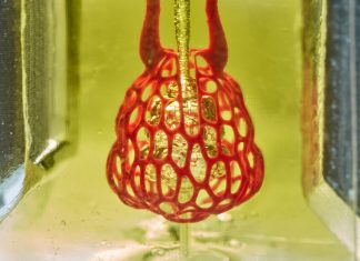 Bioengineers have cleared a major hurdle on the path to 3-D printing replacement organs