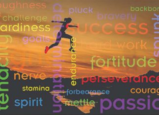 Determination – successful – grit : Are they linked ?