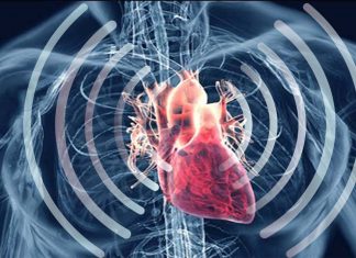Heart talks to fat and alters how fat responds to certain conditions