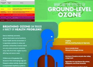 Long-term exposure to ambient ozone appears to accelerate cardiovascular disease and stroke