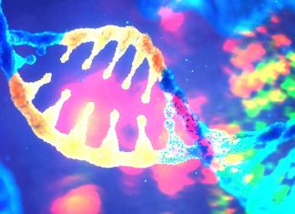 Neurodevelopmental disorders linked to mitochondrial dysfunction