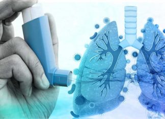 New treatment for asthma that works by targeting the cause of the disease