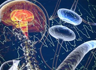 Raw data in EEG can reveal Parkinson’s disease
