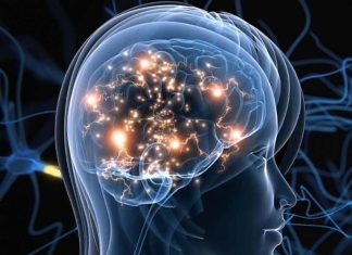 Researchers designed a new way to precisely control individual neurons