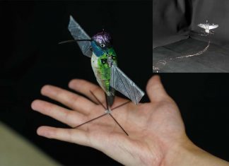 Researchers have engineered flying robots that behave like hummingbirds