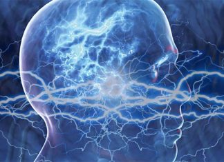 Traumatic brain injury: Stress increase the likelihood of developing epilepsy