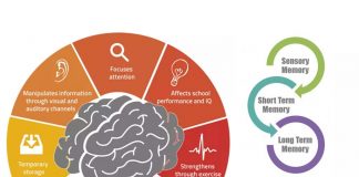 A team of psychologists has found strong associations between memory and three health-related factors