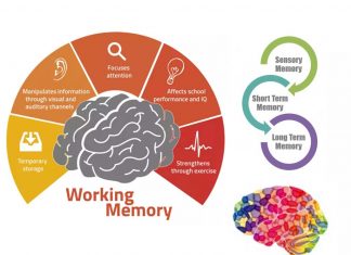 A team of psychologists has found strong associations between memory and three health-related factors