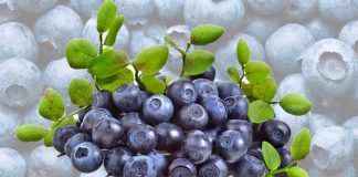 Eating a cup of blueberries a day reduces risk factors for cardiovascular disease