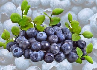 Eating a cup of blueberries a day reduces risk factors for cardiovascular disease